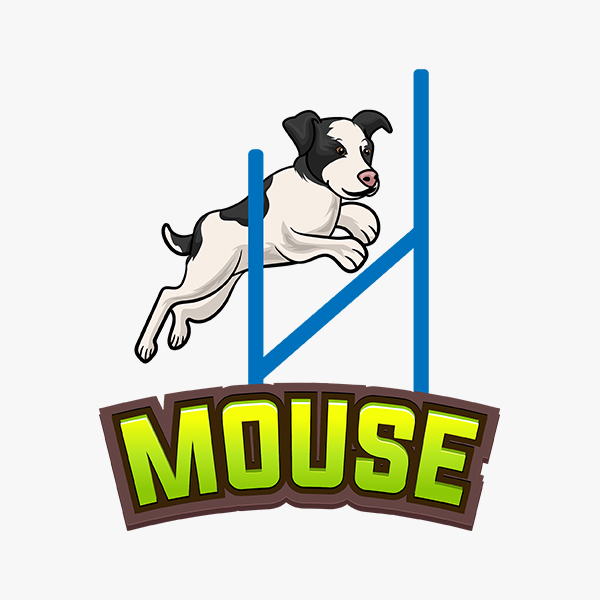 Meet Our Team of Stunt Dogs: Canine Entertainment Throughout Ohio and the Midwest | Team Zoom - mouse